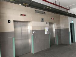 Braddell Tech (D12), Factory #586022591